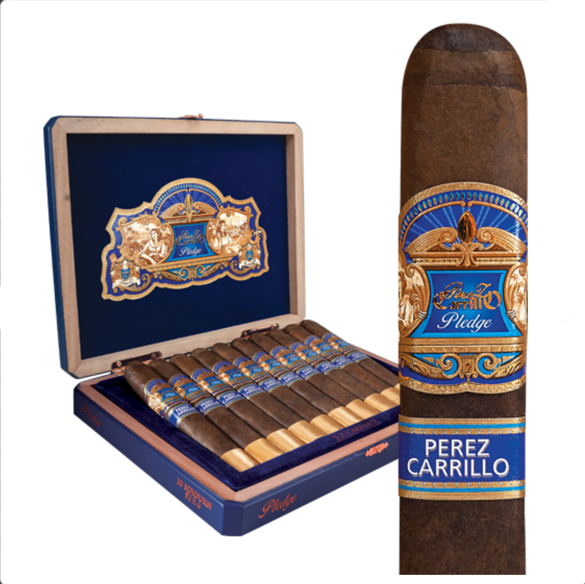 E.P. Carrillo Pledge Prequel